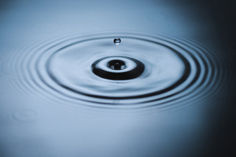 ARQUIVISTAS: It Starts With Awe