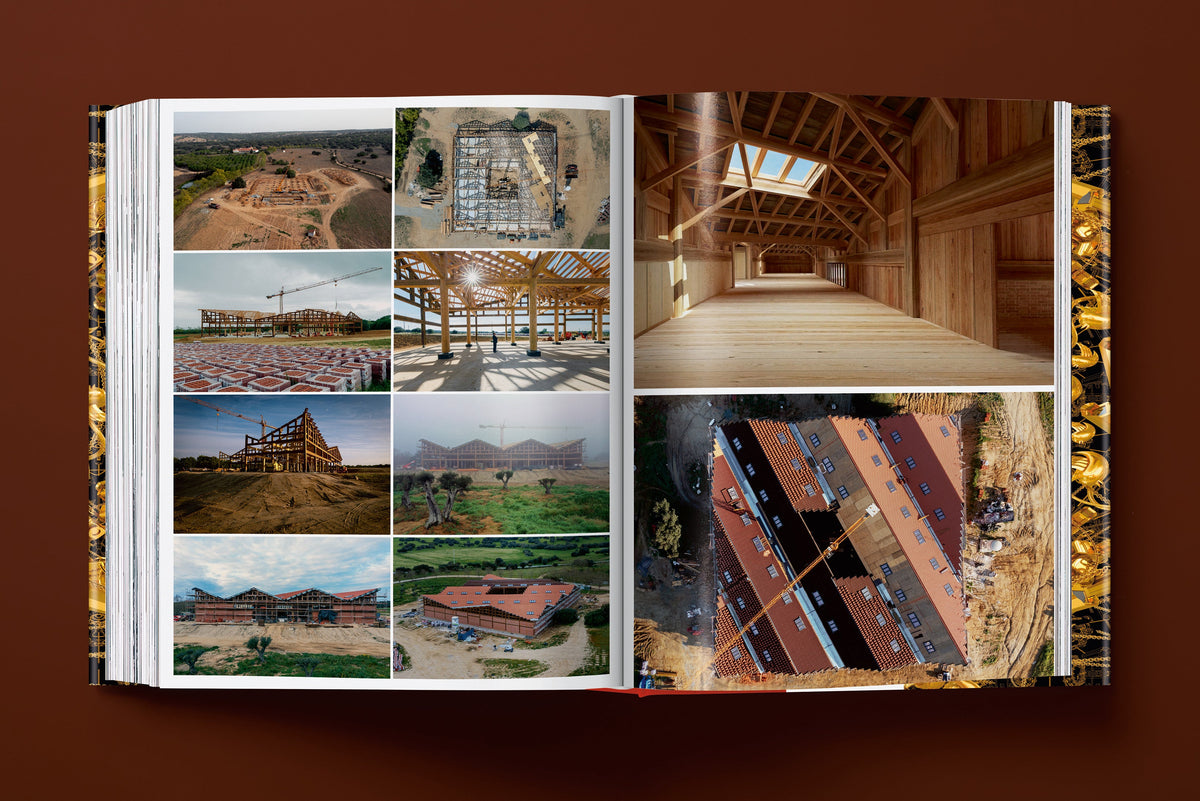 Ai Weiwei. Updated Edition (English)