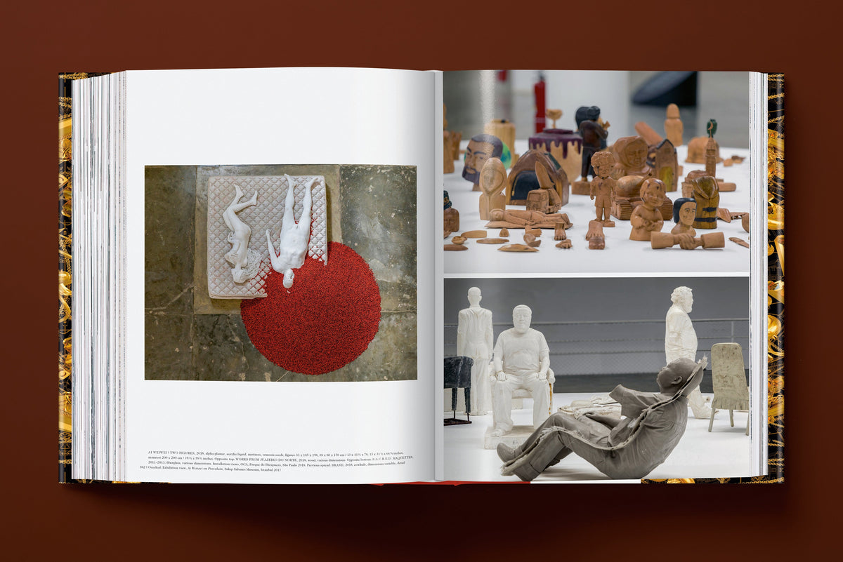 Ai Weiwei. Updated Edition (English)