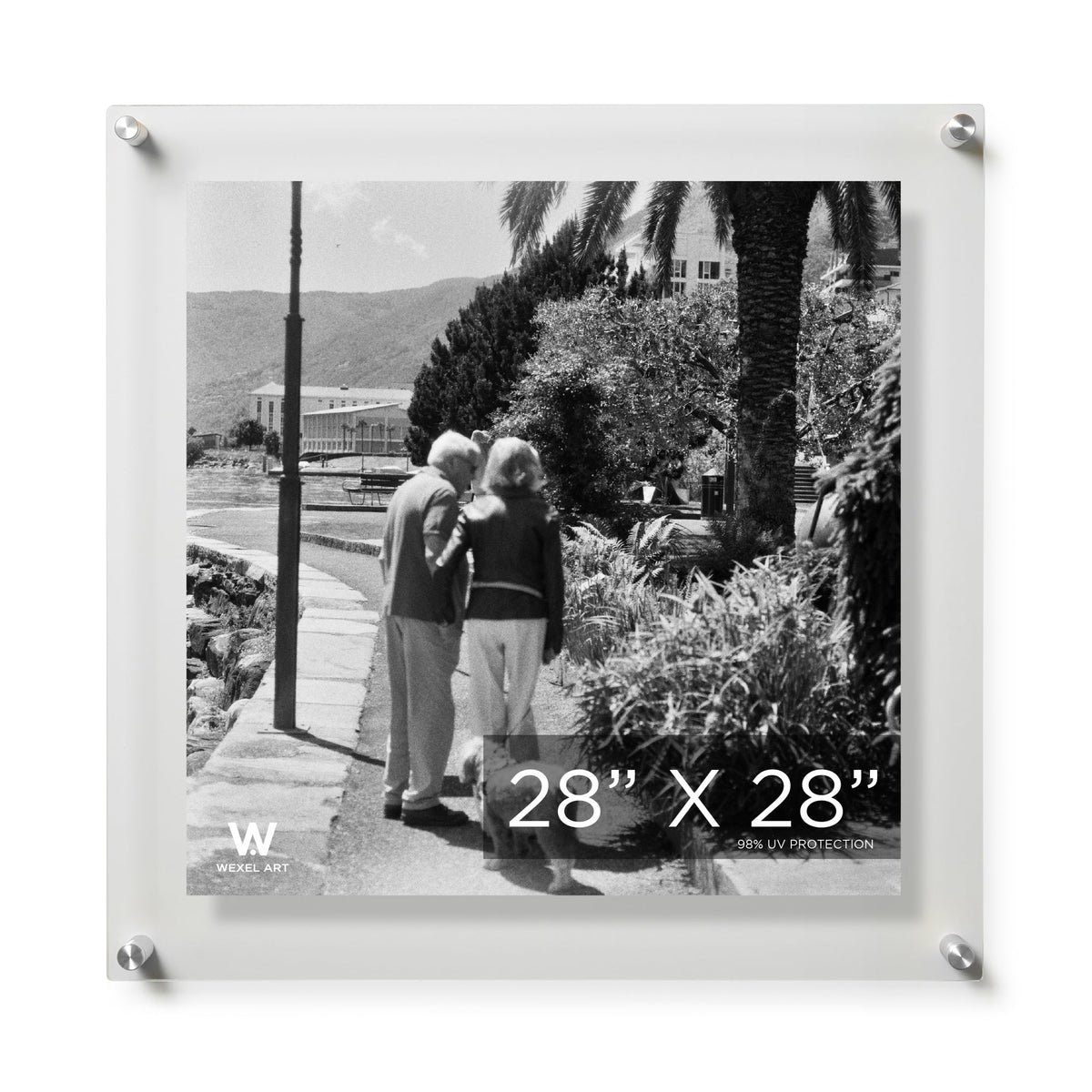 Modern UV-Grade Acrylic Floating Wall Frame