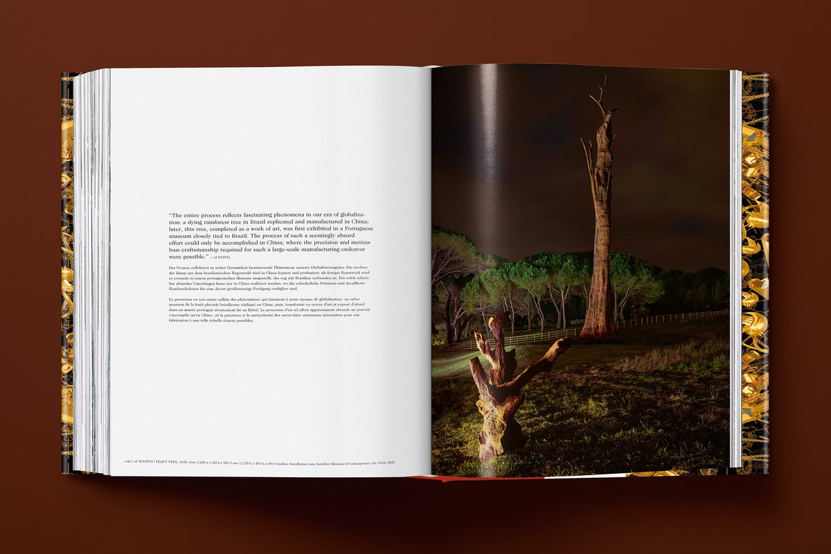 Ai Weiwei. Updated Edition (English)