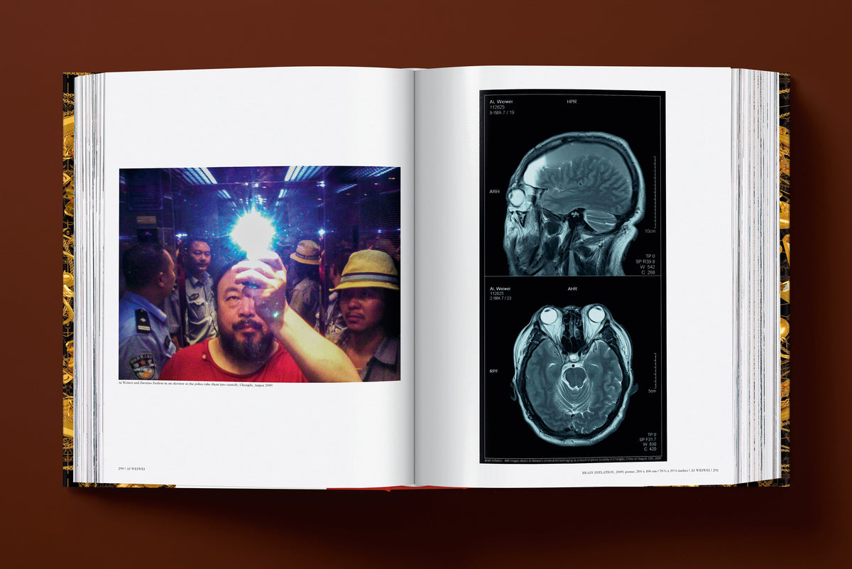 Ai Weiwei. Updated Edition (English)
