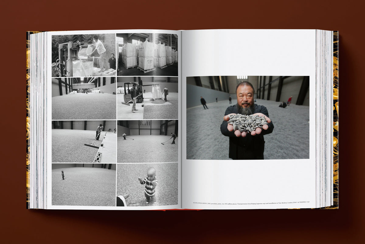 Ai Weiwei. Updated Edition (English)