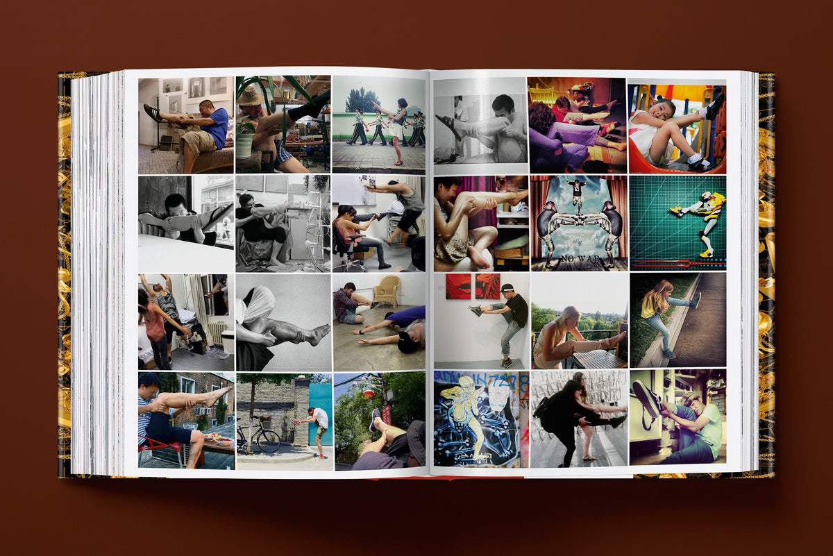 Ai Weiwei. Updated Edition (English)
