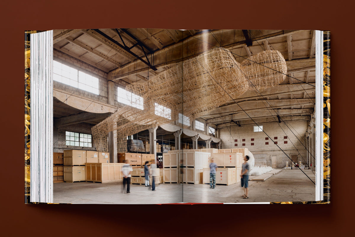Ai Weiwei. Updated Edition (English)