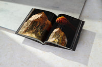 Citrine Quartz from the Dorow Collection's book, ARQUIVISTAS