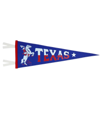 Texas State Retro Wool Pennant