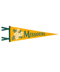 Missouri State Retro Wool Pennant