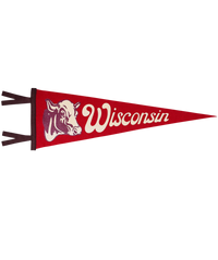 Wisconsin State Retro Wool Pennant