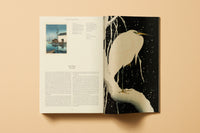 Japanese Woodblock Prints (English)